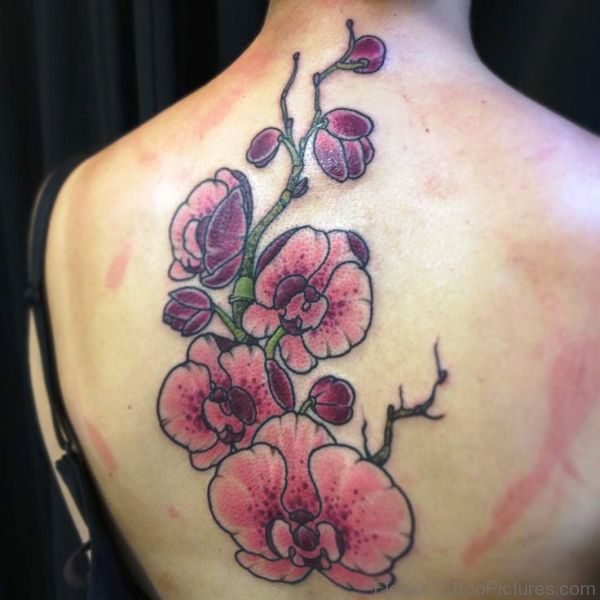 Adorable Orchid Flowers Tattoo On Back
