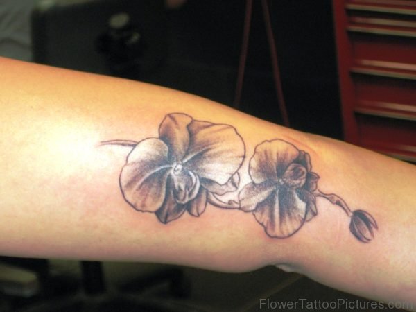 Arm Orchid Tattoo Design