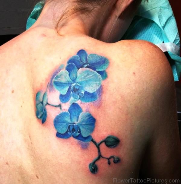 Blue Orchid Flowers Tattoo On Shoulder