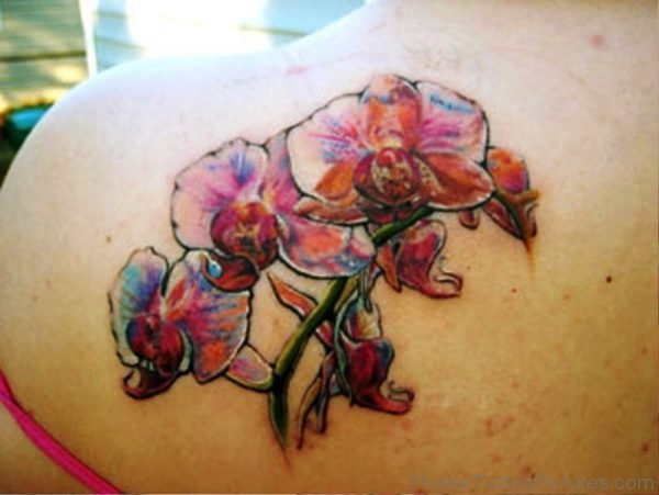 Colorful Orchids Tattoo On Shoulder