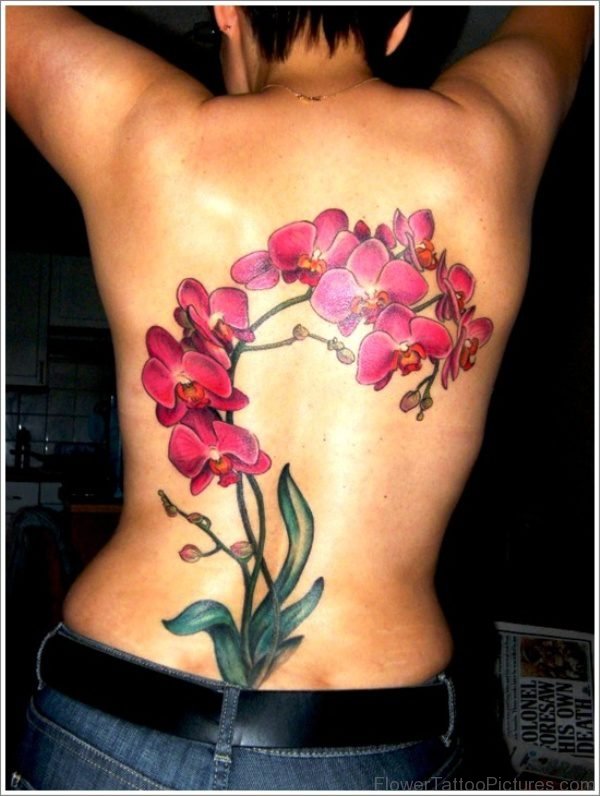 Elegant Orchid Flowers Tattoo On Back