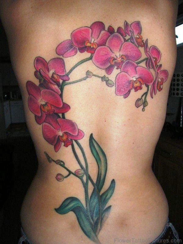Fabulous Orchid Flowers Tattoo On Back