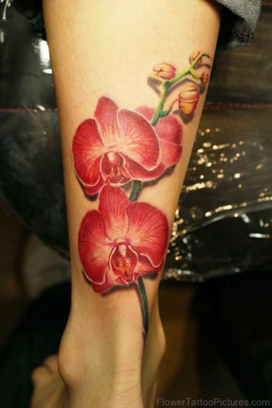 Fantastic Orchid Flowers Tattoo On Leg