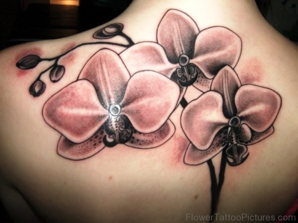 Graceful Orchid Flowers Tattoo On Back