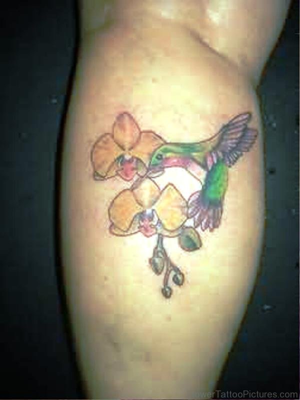 Humming Bird With Orchid Flower Tattoo
