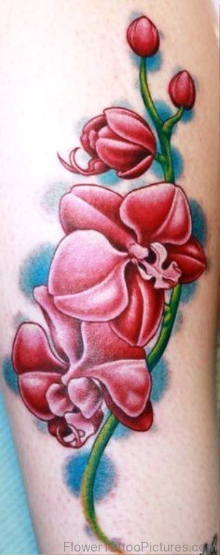 Image Of Orchid Flower Tattoo