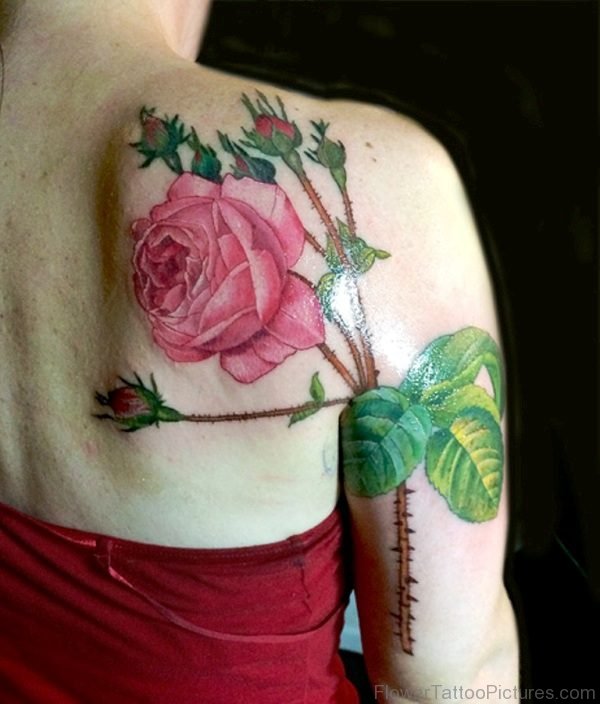 Amazing Pink Roses Shoulder Tattoo