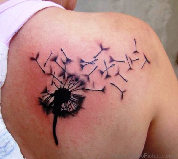 Cool Dandelion Tattoo On Shoulder