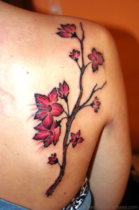 Feminine Cherry Blossom Tattoo Design On Back Shoulder
