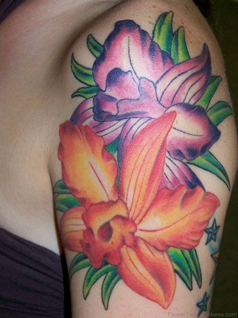 93 Classic Hibiscus Flower Tattoos On Shoulder.