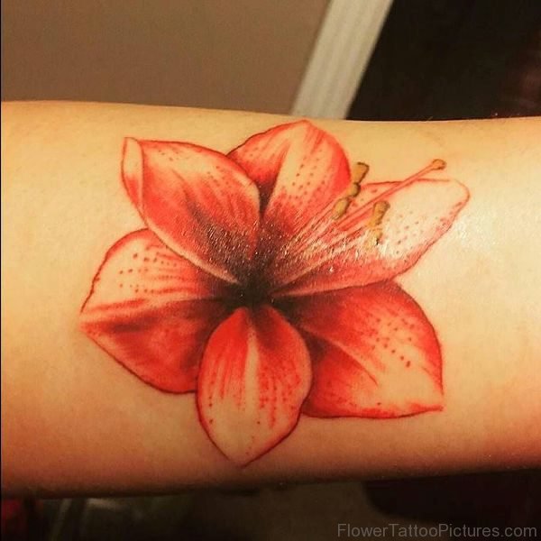 Adorable Red Amaryllis Flower Tattoo
