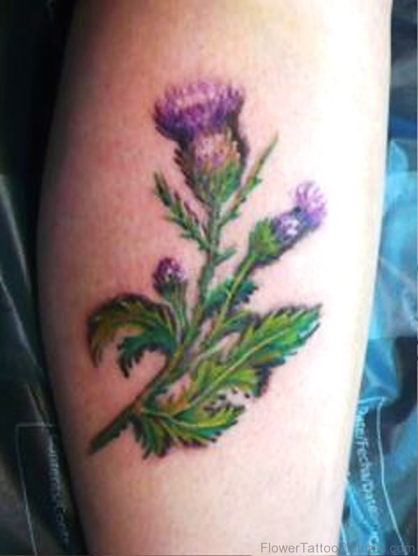Alpine Thistle And Leaves Tattoo