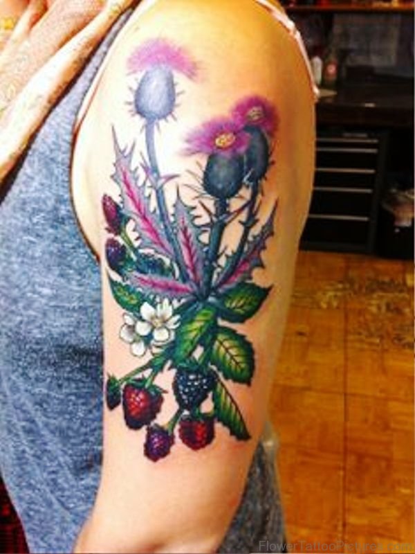 Alpine Thistle Flower Tattoo On Arm