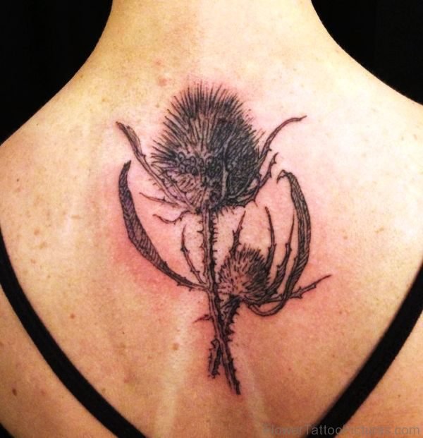 Alpine Thistle Flower Tattoo On Back