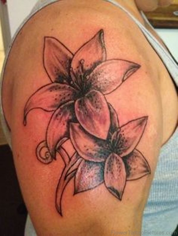 Amaryllis Tattoo On Shoulder