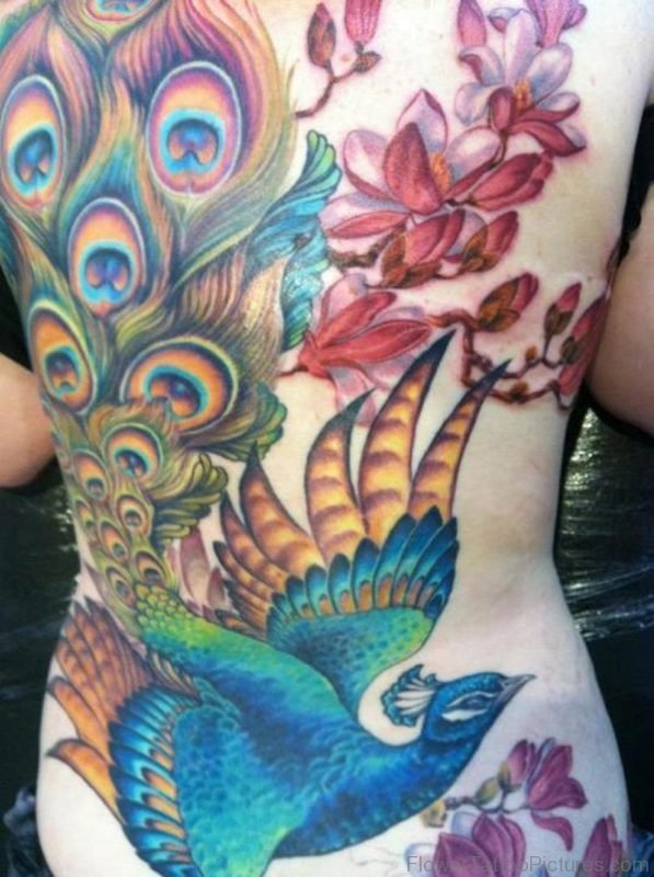 Amazing Peacock And Cherry Blossom Tattoo