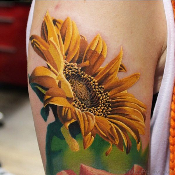 Amazing Sunflower Tattoo On Arm