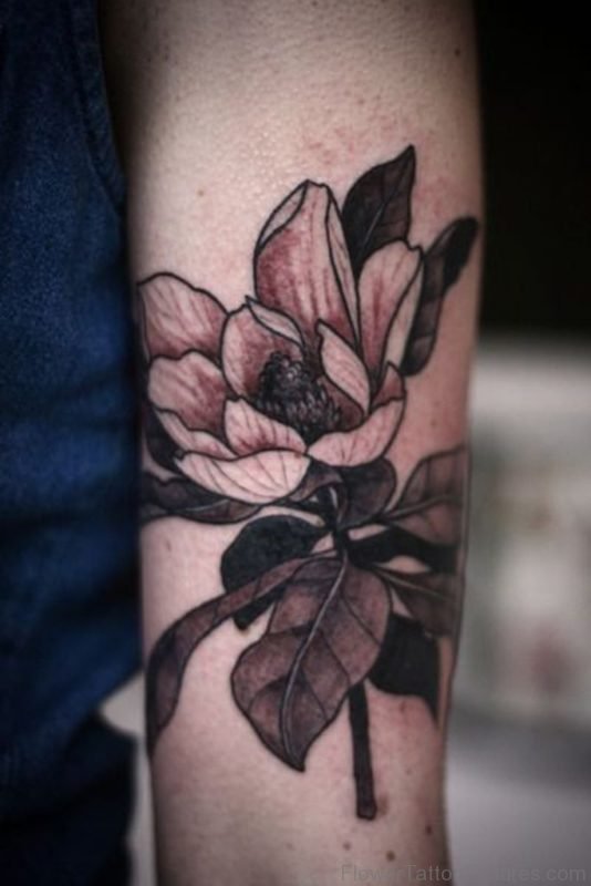 Attractive Magnolia Tattoo
