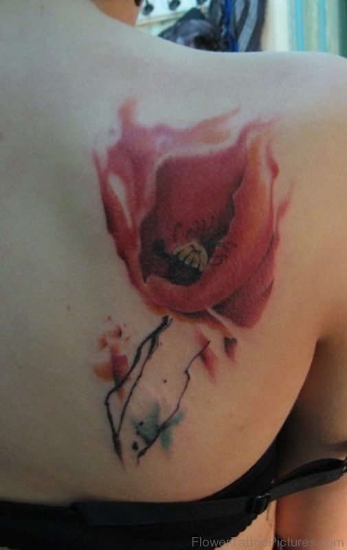 Attractive Poppy Tattoo On Back