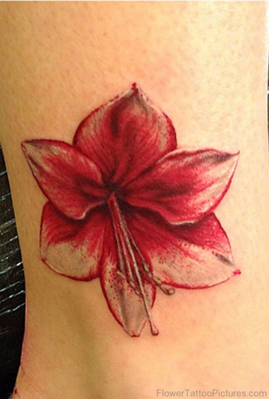 Attractive Red Amaryllis Flower Tattoo