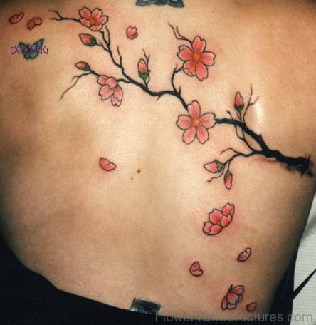 Awesome Japanese Cherry Blossom Tattoo
