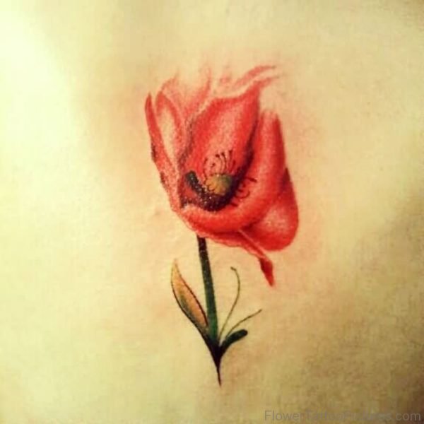 Back Body Poppy Tattoo
