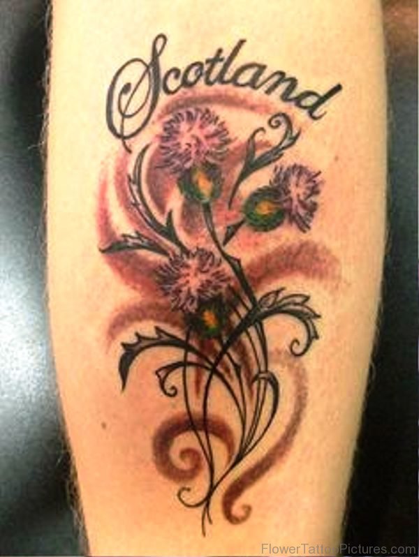 Beautiful Alpine Thistle Tattoo On Arm