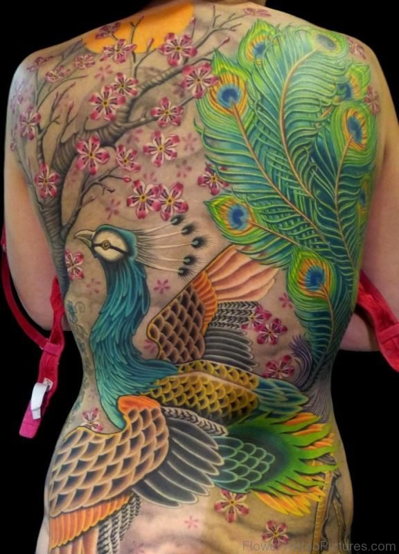Beautiful Peacock And Cherry Blossom Tattoo
