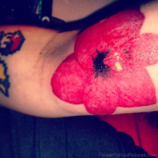 Best Red Amaryllis Flower Tattoo