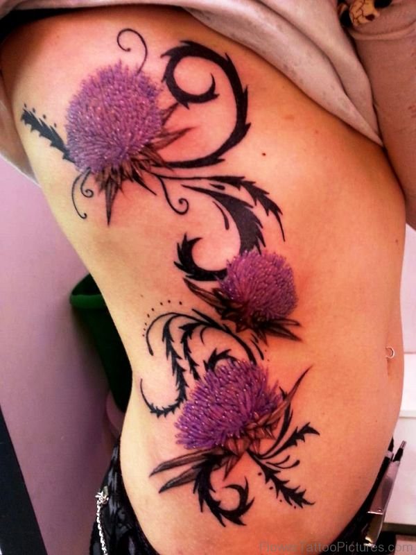 Big Alpine Thistle Flowers Tattoo On Rib