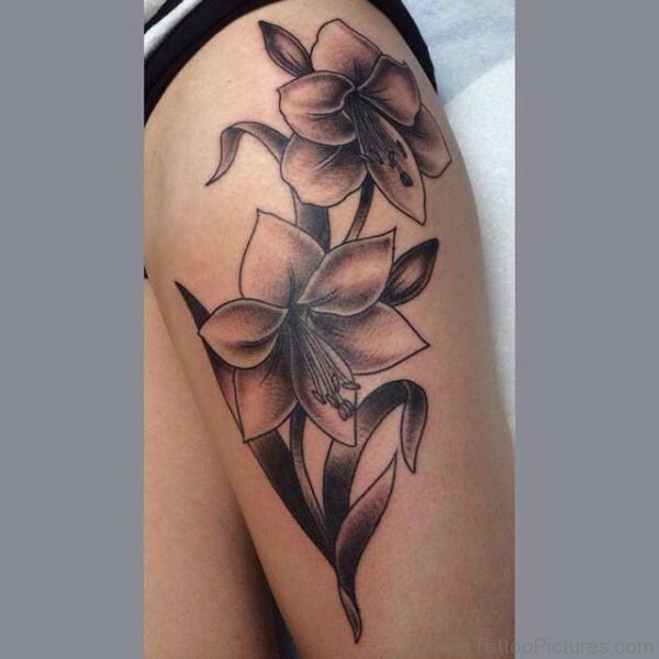 Black And Grey Amaryllis Flower Tattoo