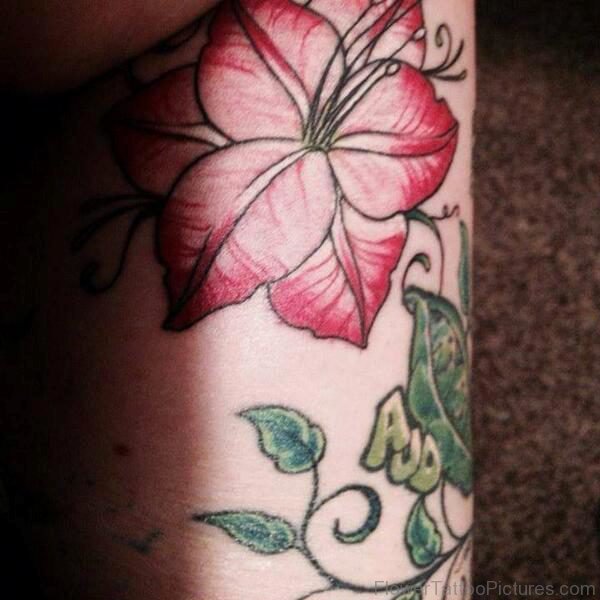 Brilliant Red Amaryllis Flower Tattoo
