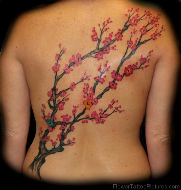 Cherry Blossom Tattoo On Back