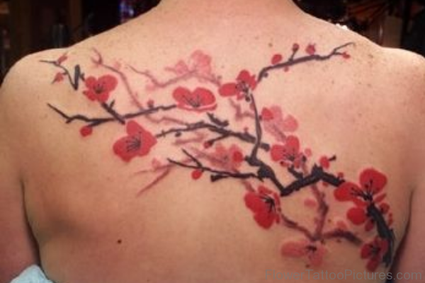 Cherry Blossom Tattoo On Back Picture