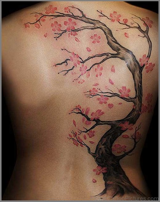 Cherry Blossom Tree Tattoo On Shoulder Back