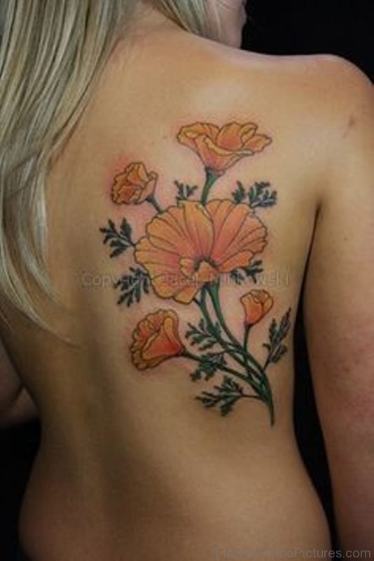 Colored Poppy Tattoo On Back