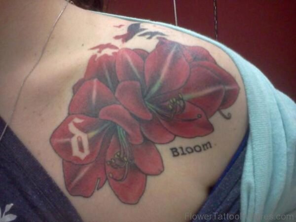 Dark Red Amaryllis Flowers Tattoo On Shoulder