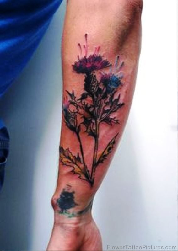 Dazzling Alpine Thistle Tattoo On Arm
