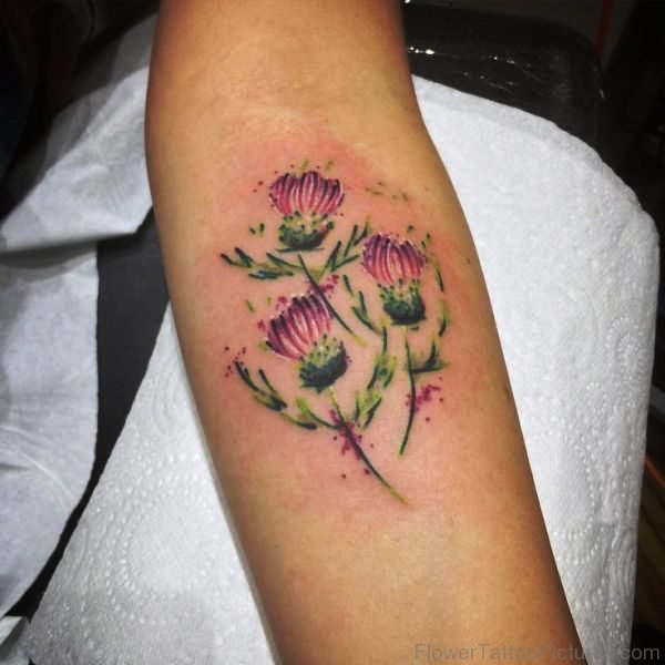 Delightful Alpine Thistle Flowers Tattoo On Arm
