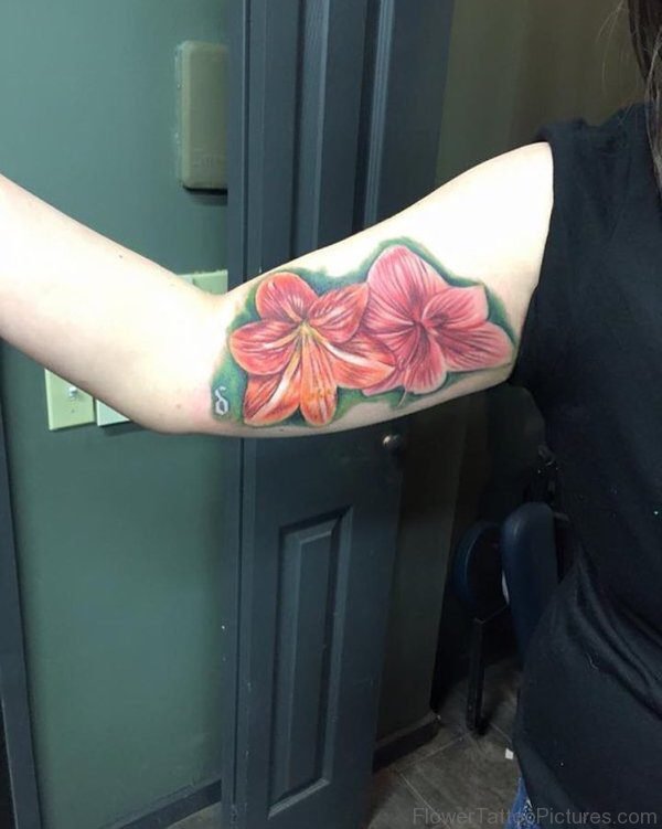 Excellent Amaryllis Flowers Tattoo On Biscep