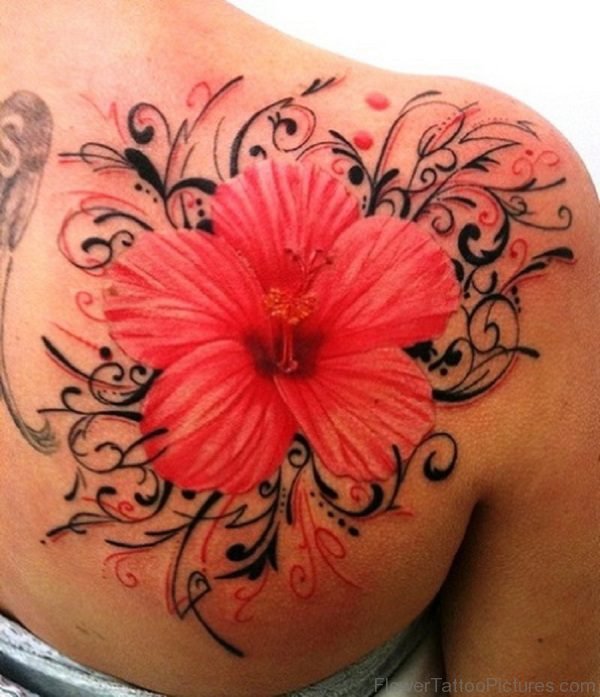 Fantastic Amaryllis Flower Tattoo On Shoulder