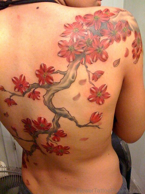 Fantastic Cherry Blossom Tattoo On Back