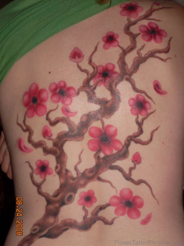 Fantsatic Cherry Blossom Tattoo Design On Back