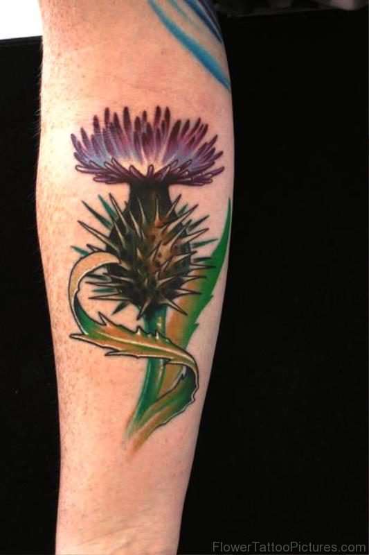 Great Alpine Thistle Flower Tattoo