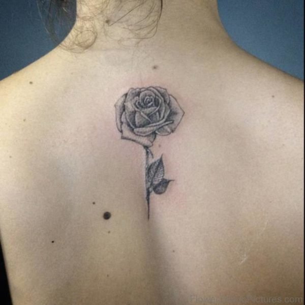 Grey Rose Tattoo On BAck