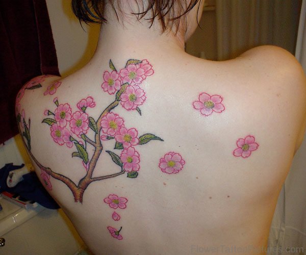 Japanese Cherry Blossom Tattoo Design On Upper Back