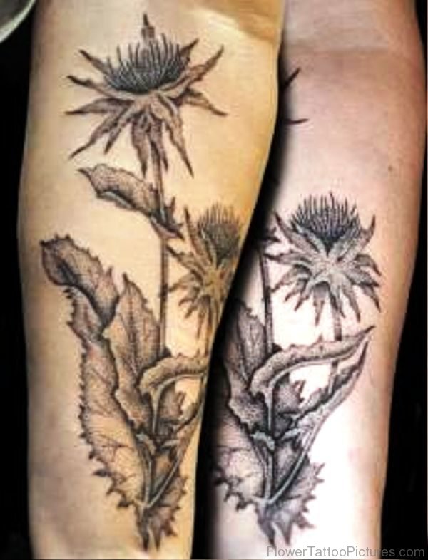 Light Grey Alpine Thistle Flowers Tattoo
