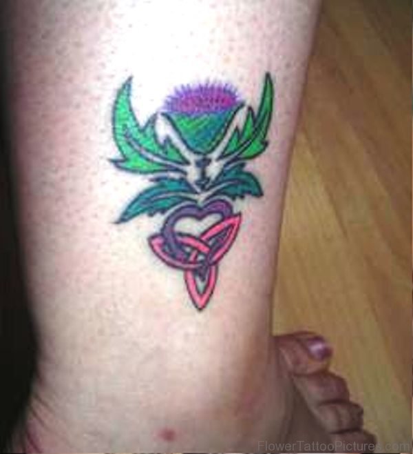 Little Alpine Thistle Tattoo On Leg
