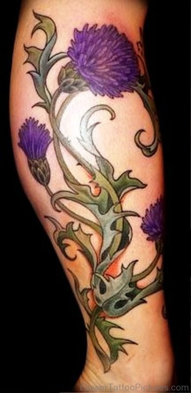Lovely Alpine Thistle Flower Tattoo On Arm