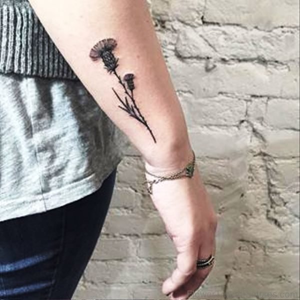 Photo Of Alpine Thistle Flower Tattoo